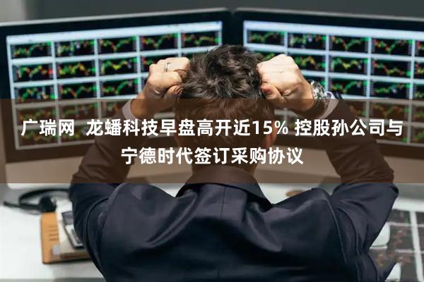 广瑞网  龙蟠科技早盘高开近15% 控股孙公司与宁德时代签订采购协议