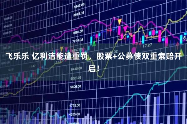 飞乐乐 亿利洁能遭重罚，股票+公募债双重索赔开启！