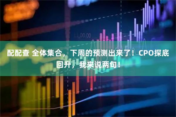 配配查 全体集合，下周的预测出来了！CPO探底回升，我来说两句！