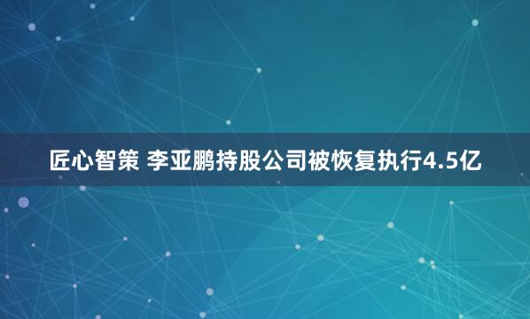 匠心智策 李亚鹏持股公司被恢复执行4.5亿