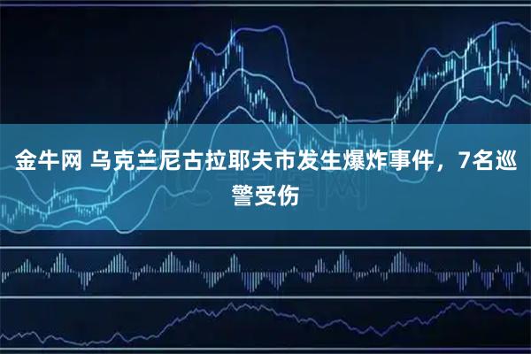 金牛网 乌克兰尼古拉耶夫市发生爆炸事件，7名巡警受伤