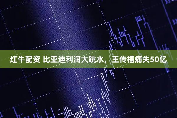 红牛配资 比亚迪利润大跳水，王传福痛失50亿